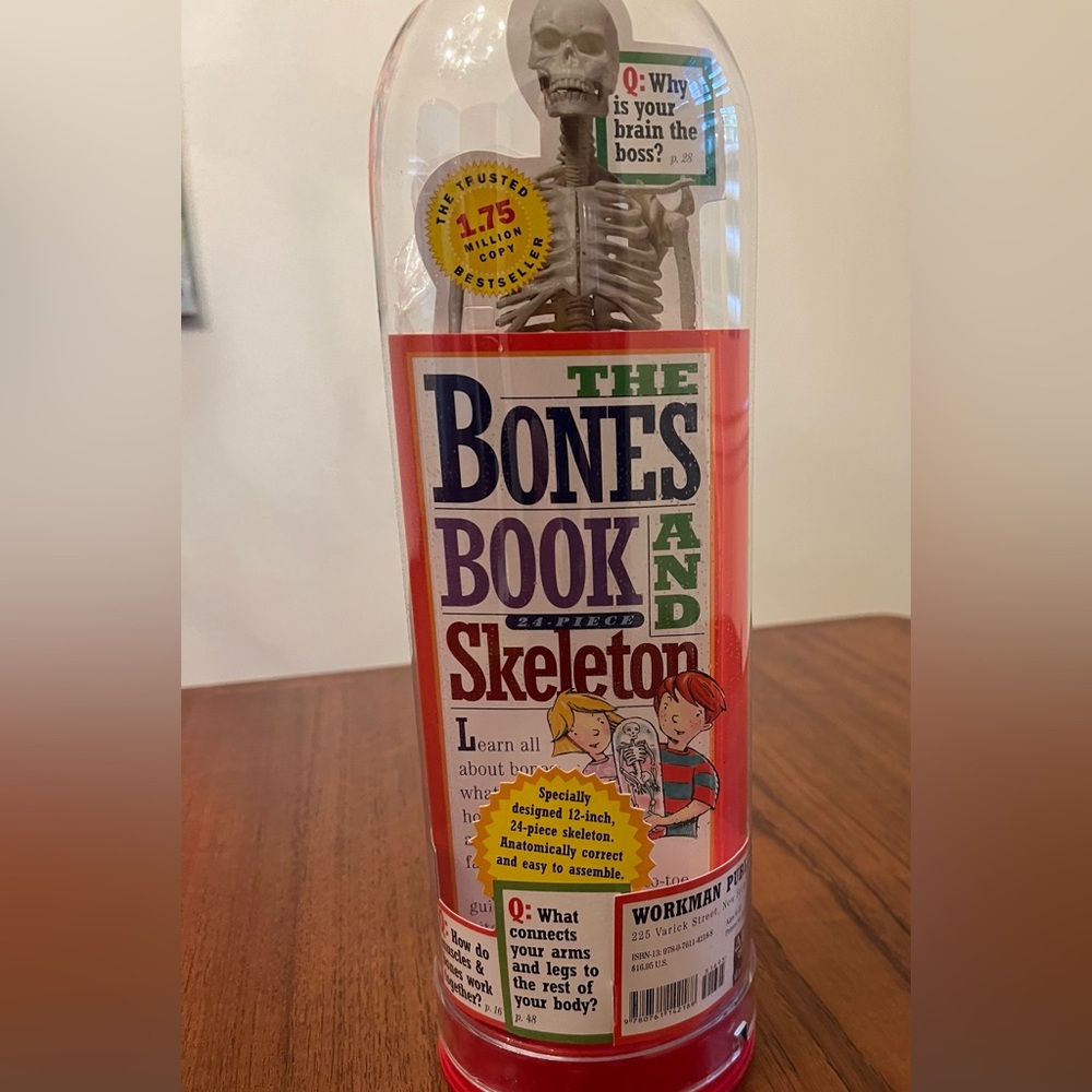 The Bones Book & Skeleton – New / Never Used (Workman Publishing)